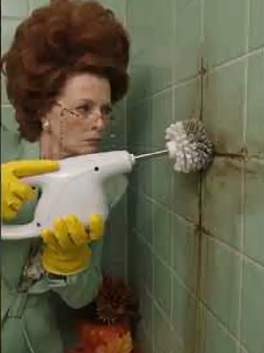 Grout Inspection: still from the episode