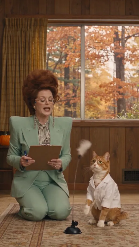 The Cat Does Not Care: still from the episode